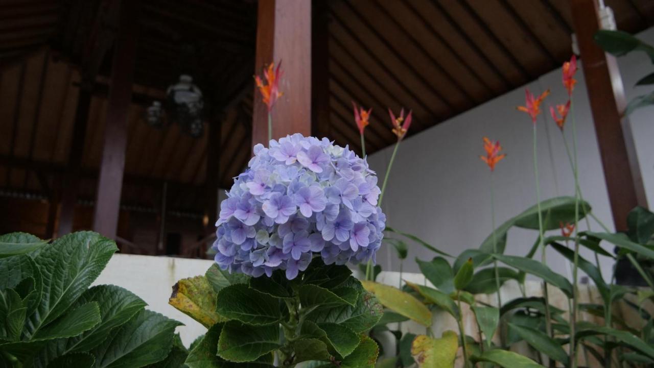Sanggar Pantcha Indra Guest House Kemuning Екстериор снимка